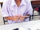 กิจกรรมศิลปะการวาดหมึกจีน สำหรับนักเรียนชั้น ม.2 Image 25